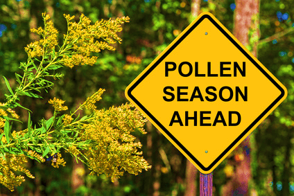 Is Chiropractic a Powerful Tool to Combat Allergies and Pollen?